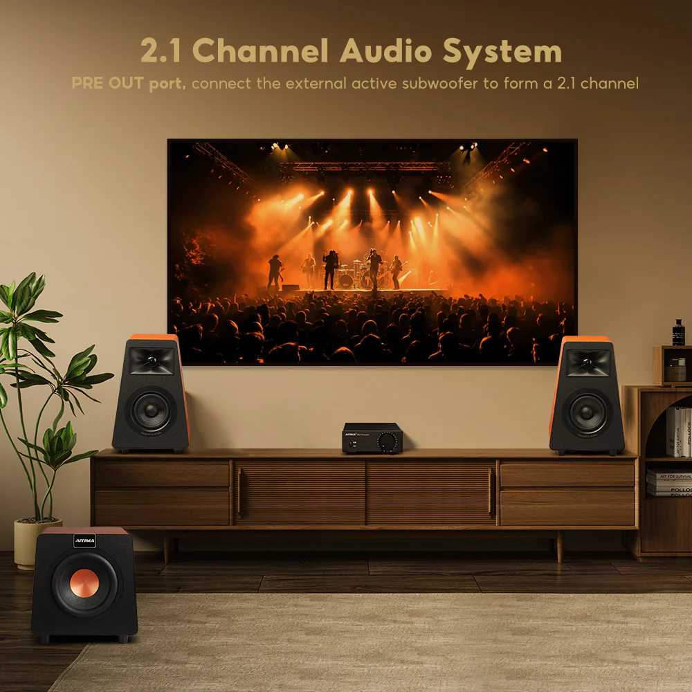 AIYIMA A07 Premium - Image 4